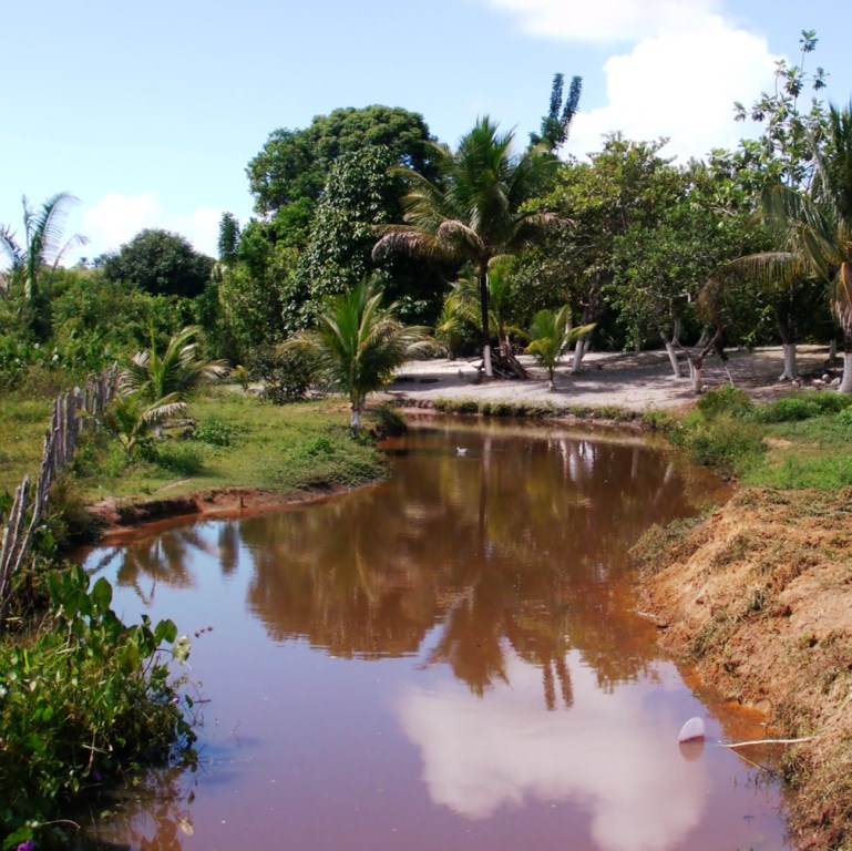 Juerana