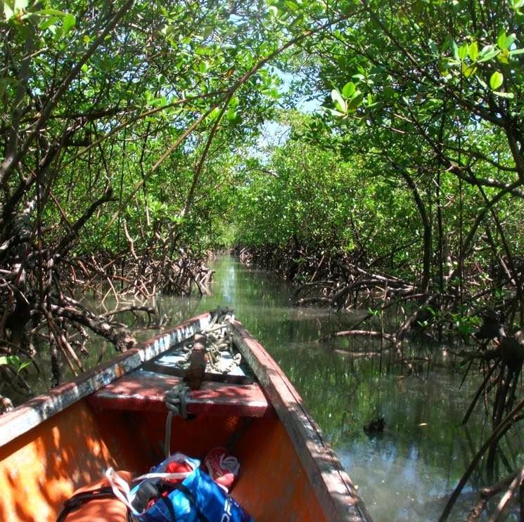 Pontas da Contra Costa