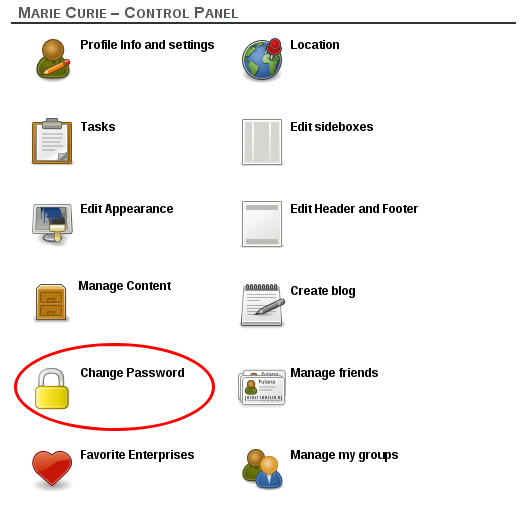 Change password in control panel Change password in control panel