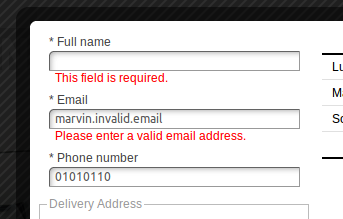 Invalid fields